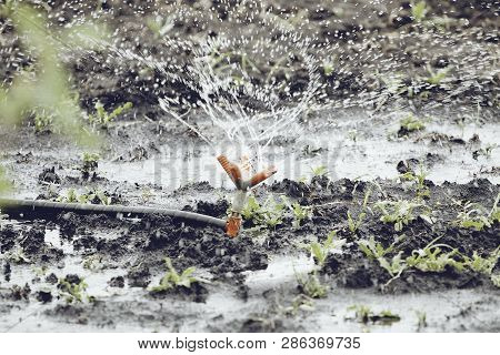Woman Cleaning Dirty Waill With High Pressure Water Jet