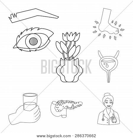 Isolated Object Of Mellitus And Diabetes Icon. Collection Of Mellitus And Diet Stock Vector Illustra