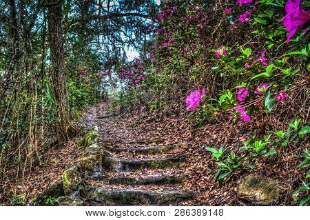 Looking Up The Stairs Along A Flower Lined Path Which Create And Upward Path.