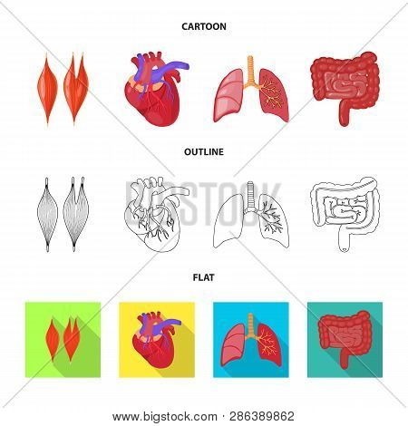 Vector Design Of Biology And Scientific Icon. Set Of Biology And Laboratory Vector Icon For Stock.