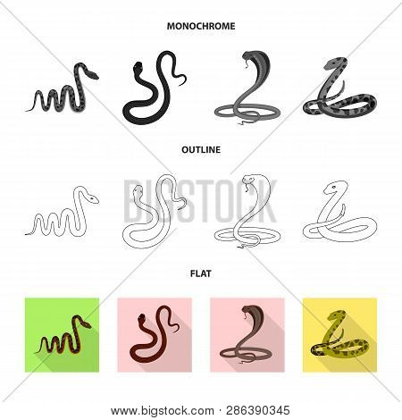 Vector Design Of Mammal And Danger Sign. Set Of Mammal And Medicine Stock Vector Illustration.