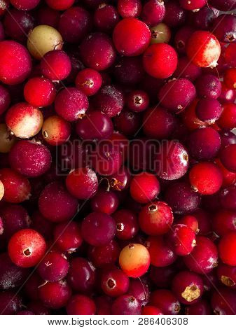 Cranberry. Cranberry Background. Healthy Food For Genitourinary System