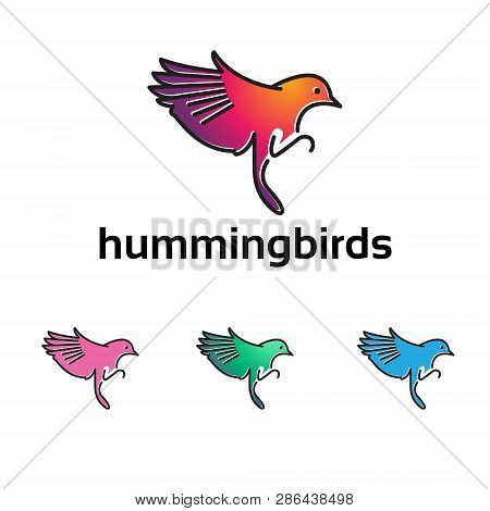 Kolibri Colibri Hummingbird Flying Colorful Symbol Illustration