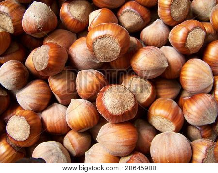 Hazelnuts