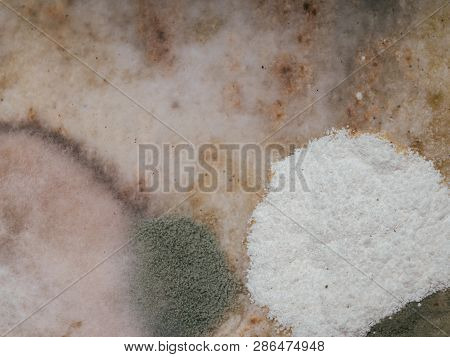 Spoiled Moldy Old Bread With Spores Of The Fungus Macro