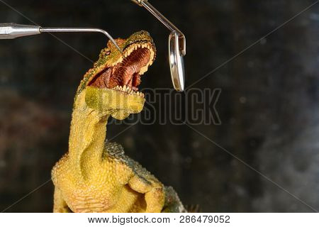 Dinosaur Velociraptor Examine Teeth With Dental Mirror And Probe. The Concept Of Dental Care. Toy Di