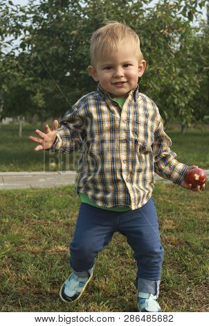 Little Toddler Boy Picking And Eating Red Apples In Orchard
