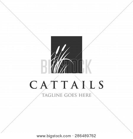 Cattails Trees Logo Inspirations In Black And White Colors