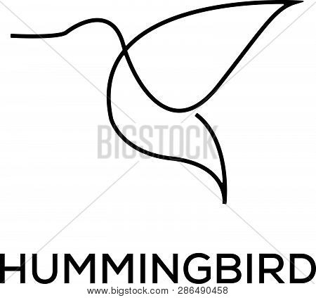 Unique Humming Bird Logo Template, Line Art And Minimalist