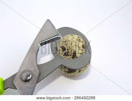 Quail Eggs And Scissors On A White Background. Isolated