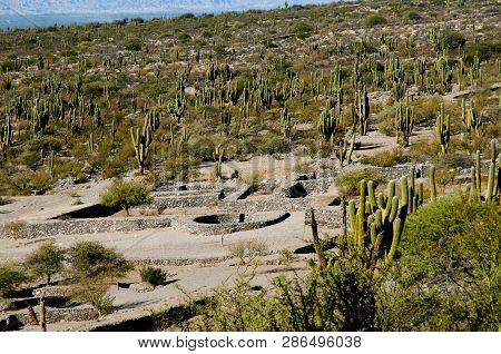 Old Quilmes Ruins - Tucuman - Argentina