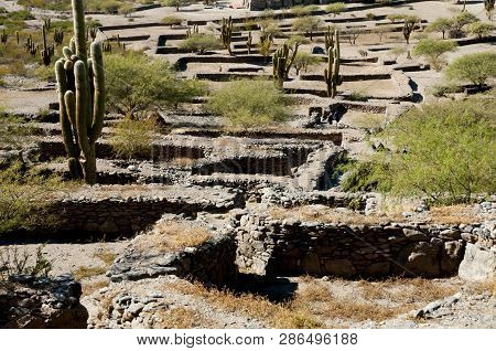 Old Quilmes Ruins - Tucuman - Argentina