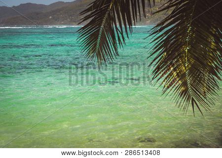 Indian Ocean, Mahe Island, Seychelles. Turquoise Water And Palm Leaves.