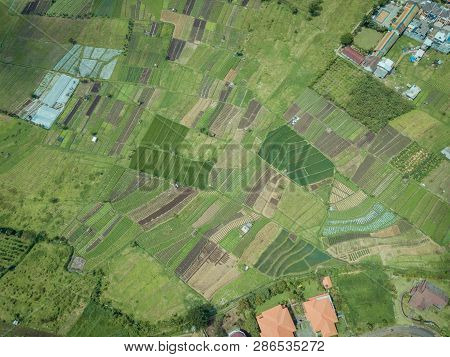 Aerial View Of Forest Nature At Batu Malang City In East Java, Indonesia. One Of The Best Destinatio