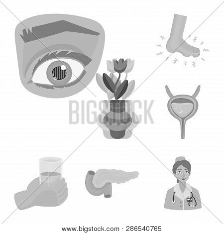 Vector Illustration Of Health And Diet Sign. Set Of Health And Disease Stock Symbol For Web.