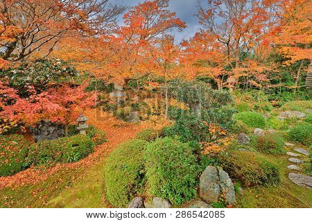 Fall Garden At The Genko An Temple