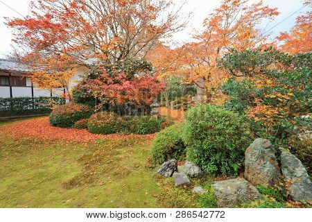 Fall Garden At The Genko An Temple   Travel At Japan