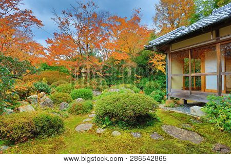 A Fall Garden At The Genko An Temple