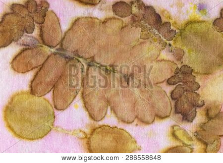 Botanical Print With Leaf Prints On Natural Silk. Hand-drawn Illustration.