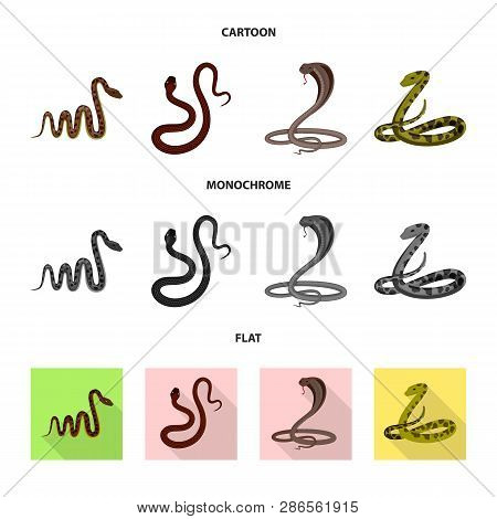 Vector Design Of Mammal And Danger Symbol. Collection Of Mammal And Medicine Vector Icon For Stock.