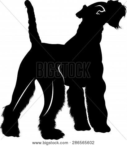 Terrier Dog. Silhouette Vector Dog Breed Fox Terrier