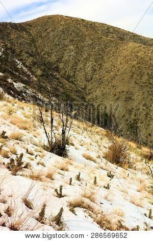 Barren Mountains Including Chaparral Plants Covered With Snow Where The Desert Meets Mountainous Ter