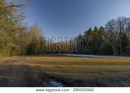 Path And Color Meadow In Nice Sunny Winter Cold Day Near Rozmberk Pond In South Bohemia