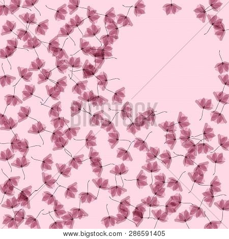 Gentle Tropical Flowers. Transparent Petals On A Pink Background. Floral Pattern In Pastel Colors.