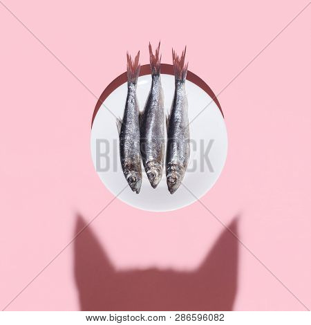 Cat Vs Fish. Curious Cat Shadow And Plate With Silver Fish On Pink Background. Hard Light. Top View.
