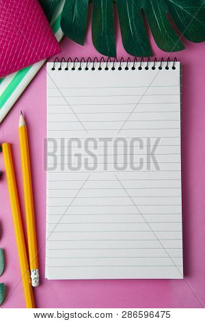Summer, Abstract Background. Open Notepad Decorated With Monstera Leaves. Feminine Tempalte, Work Sp