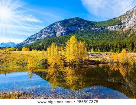 Autumn flood of Abraham lake, Rocky Mountains of Canada. Concept of active, ecological and photo tourism. Artificial Abraham lake reflects the golden foliage of aspen and birches