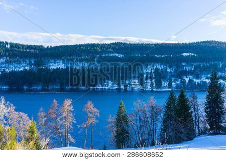 Lake Titisee Black Forest Germany Winter Snow