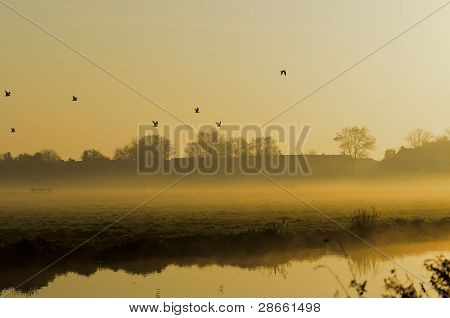 Sole di mattina nebbiosa farmfield durante