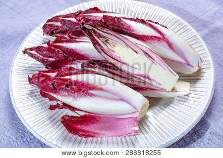 Group Of Fresh Red Radicchio Chicory Or Belgian Endive Vegetables, Also Known As Witlof Salade