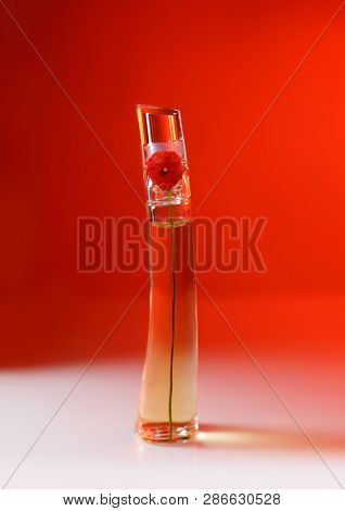 Prague, Czech Republic- January 22, 2019. Perfume KENZO bottle on red background.  Kenzo Flower Perfume