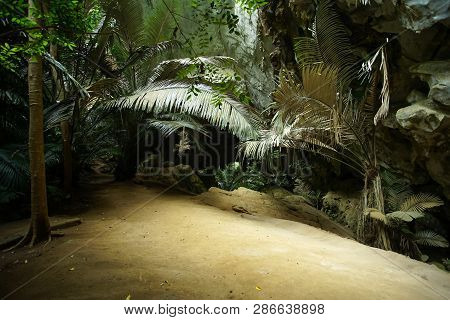 The Famous Travel Destinations Ancient Forest Hup Pa Tat In Uthai Thani, Thailand.