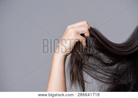 Healthy Concept. Woman Hand Holding Damaged Long Hair.