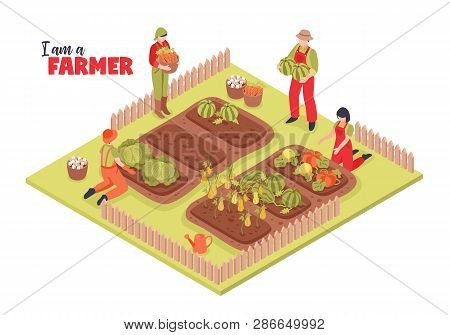 Isometric Farm Garden Background Composition With Group Of Human Characters In Farmstead With Plants