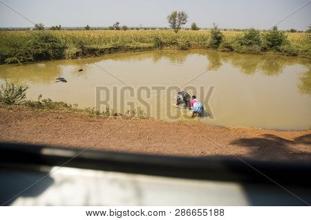 The View From The Bus Window As An Indian Woman Bathing In The Dirty Lake Of The Big Bull