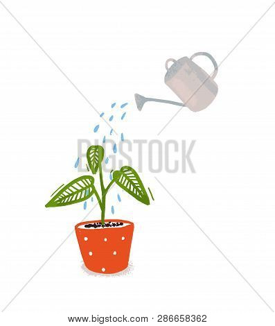 Watering Of Home Plant With Green Leaves In Orangle Pot. Hand Drawn Illustration Of Home Gardening, 