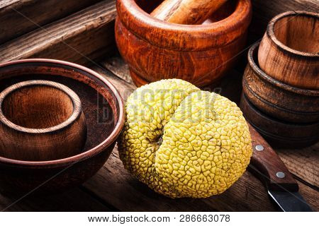 Maclura Orange Or Apple Macaroni