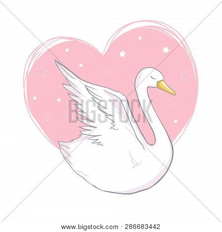 Swan. White Bird. Sign, Symbol, Logo, Logo Vector. Vector.