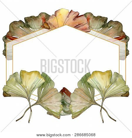 Green Red Ginkgo Biloba Leaves.watercolor Background Illustration Set. Frame Border Ornament Square.