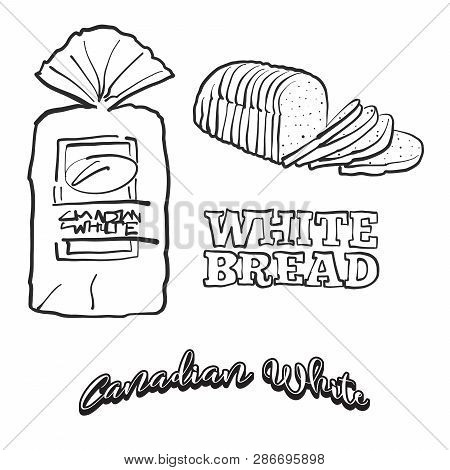 Hand Drawn Sketch Of Canadian White Bread. Vector Drawing Of White Food, Usually Known In Canada. Br