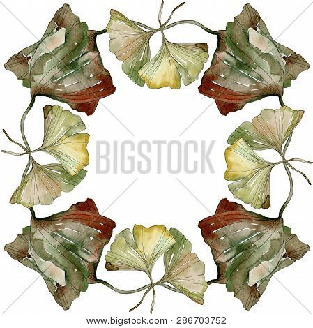 Green Red Ginkgo Biloba Leaves.watercolor Background Illustration Set. Frame Border Ornament Square.