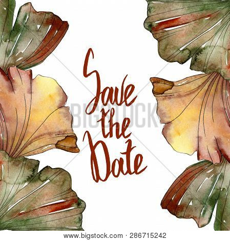 Green Red Ginkgo Biloba Leaves.watercolor Background Illustration Set. Frame Border Ornament Square.