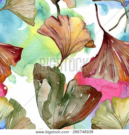 Green Red Ginkgo Biloba Leaves. Watercolor Background Illustration Set. Seamless Background Pattern.