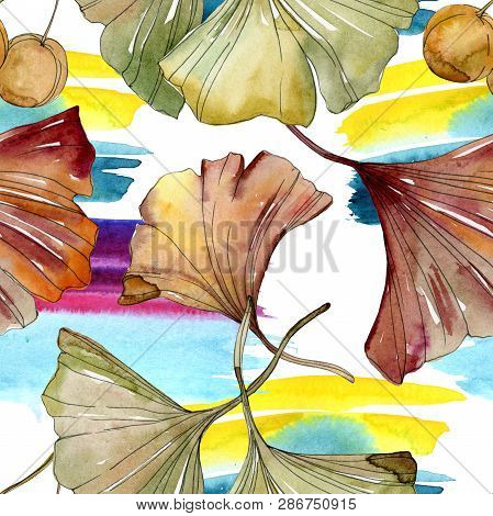 Green Red Ginkgo Biloba Leaves. Watercolor Background Illustration Set. Seamless Background Pattern.