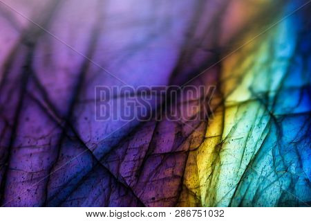 Multicolored Background Of Macro Detail Labradorite With Blurr
