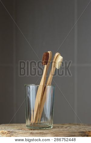 Two Eco Friendly Bamboo Brushes In A Glass